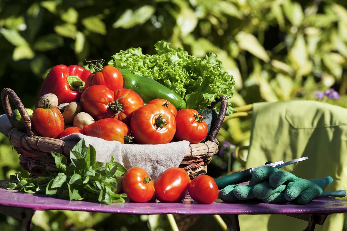 Canasta de verduras lista para el mercado